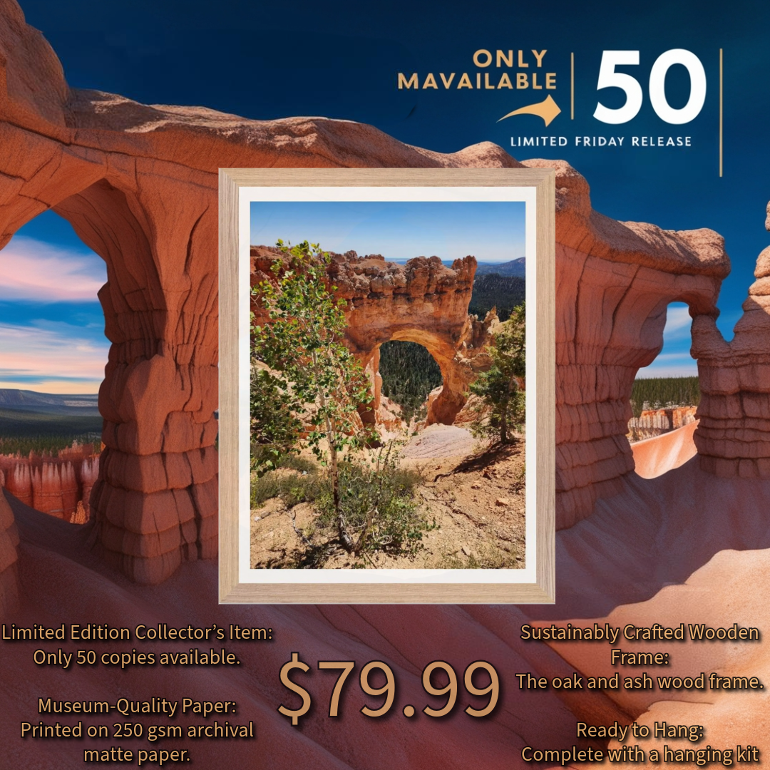 limited edition bryce canyon prints -