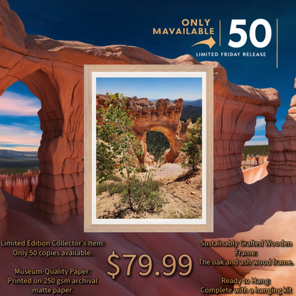 Impresiones de edición limitada de Bryce Canyon: ¡solo hay 50 disponibles! Belleza natural de Bryce Canyon