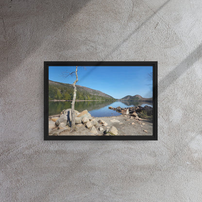 Framed canvas print of Bar Harbor, Maine’s Jordan Pond, featuring a solitary tree, rocky shoreline, and calm reflective water with surrounding mountains.