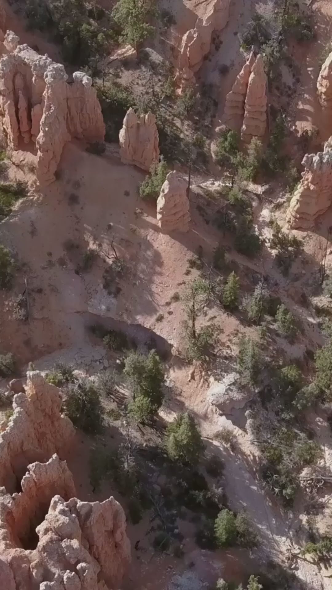 Llévate a casa la magia de Bryce Canyon: póster de la Torre Hoodoo de edición limitada (¡solo hay 50 disponibles!)